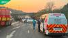 "Red Bull did give them wings": Looters strip truck carrying energy drinks after Durban crash