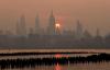 Pets Are Impacted By Wildfire Air Pollution. Here’s What To Know