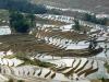 China Hit by “Deadly Weather Events”