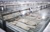 EU adopts new Russian sanctions but walks back push to target seafood