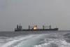 Houthis target Saudi oil tankers, threatening second energy chokepoint in US-Iran war