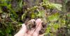 Monty Don's July Warning For UK Gardeners Could Save Your Veg