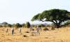 Transforming Climate Challenges into Opportunities