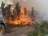 Forest Fires Set New Records Across Four Continents, Bulgaria Among Worst Hit in EU