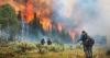 France Wildfire Forces 10,000 Evacuations Near Bordeaux as Blaze Rapidly Spreads