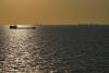 Hormuz oil shuttling trade is picking up again after lull
