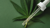 Clinical Trial: THC/CBD Formulation Reduces Alzheimer’s-Induced Agitation