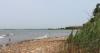 Training prepares community science effort to tag LI Sound horseshoe crabs
