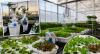 NDSU to host third annual North Dakota Controlled Environment Agriculture Conference