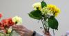 Illinois Extension to offer flower arranging workshop Aug. 5 in Henry