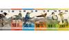 Finnish design reaches euro banknote final