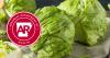 Cyclospora outbreak linked to lettuce impacts Arkansas and 40 other states