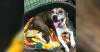 Pets of the Week – Meet River & Gabriella