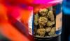 Marijuana drives sharp rise in workplace drug positivity, new report shows