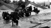 Commando Logistic Regiment honours past and embraces future with historic name change