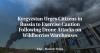 Kyrgyzstan Urges Citizens in Russia to Exercise Caution Following Drone Attacks on Wildberries Warehouses