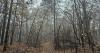 Area51 Has a Fierce Reputation, but It’s One of Mississippi’s Best