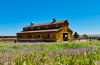 Horse Roundup 2026 | Where dreams take shape: Bar E North carries on and builds a Colorado legacy 