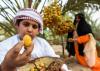 From dates to tourism, Liwa festival expands its impact