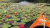 After criticism, Ohio won't allow gas-powered boats at state park