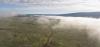 Forest Service OKs cattle in Wyoming allotments with history of grizzly conflict
