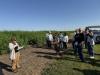 Purdue University Extension research focused on improving profitability for hemp growers