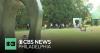 42-acre park in New Jersey helping heal through art and nature