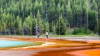 Tourists risk deadly selfie at Yellowstone