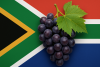 South Africa wraps up table grape season with record crop volume