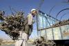 Deforestation on the Rise in Afghanistan: Experts Warn of Environmental Consequences