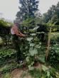Bread Riot apprenticeship program hopes to ‘grow’ new farmers