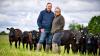 Farmer Focus: Lucerne crop is only green area on farm