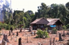 Drug Traffickers Threaten Ashaninka Indigenous Territory as Criminal Networks Expand Across the Amazon