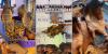 'When did monkey become a delicacy?' Alarm raised over African bushmeat flooding into Britain