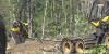 University of Maine receives $20M federal investment to grow forest products industry