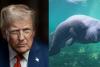 Trump Administration Weakens Endangered Species Protections by Rolling Back Habitat Rules