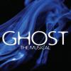 Brundage Park Playhouse to Hold Auditions for "Ghost, the Musical"