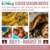 Queen Conch Closed Season Now in Effect