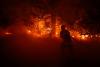 More than 10,000 evacuated as wildfires continue