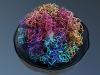 4D Nucleome opens new wave of gene regulation research, discovery