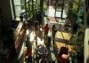 Hotel sustainability and revenue: What a 2026 industry report found