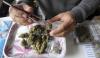Working under the influence: 1 in 5 workers test positive for drugs after increased marijuana use