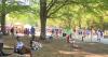 Atlanta Dogwood Festival returning to Piedmont Park in April