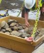 Construction workers rescue hundreds of turtles during Arkabutla Dam repairs