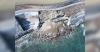 Questions Raised After Mansion Owners’ Dispute Stalls Cliff Walk Repairs