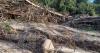 WEATHER GURU | The good, bad and ugly of natural disasters