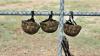 ‘Unsolved crimes are being passed off as suicides’: Armenian soldier’s death sparks questions
