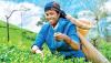 Climate justice starts with gender justice – Lessons from Eswatini and Sri Lanka