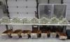 Canada busts major cross-border drug network, seizes nearly C$140 million worth of narcotics