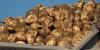 Idaho sugar beet farmers face crisis as foreign imports undercut domestic prices
